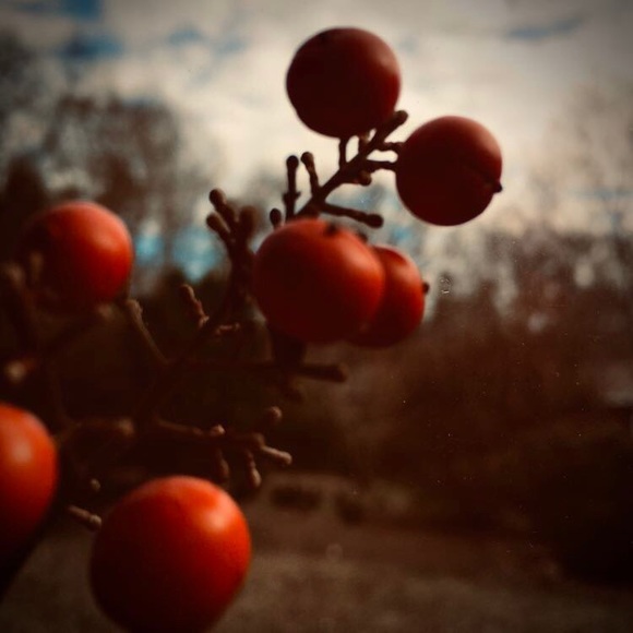 Meet your Posher, •jacob’s•closet - Picture 1 of 1